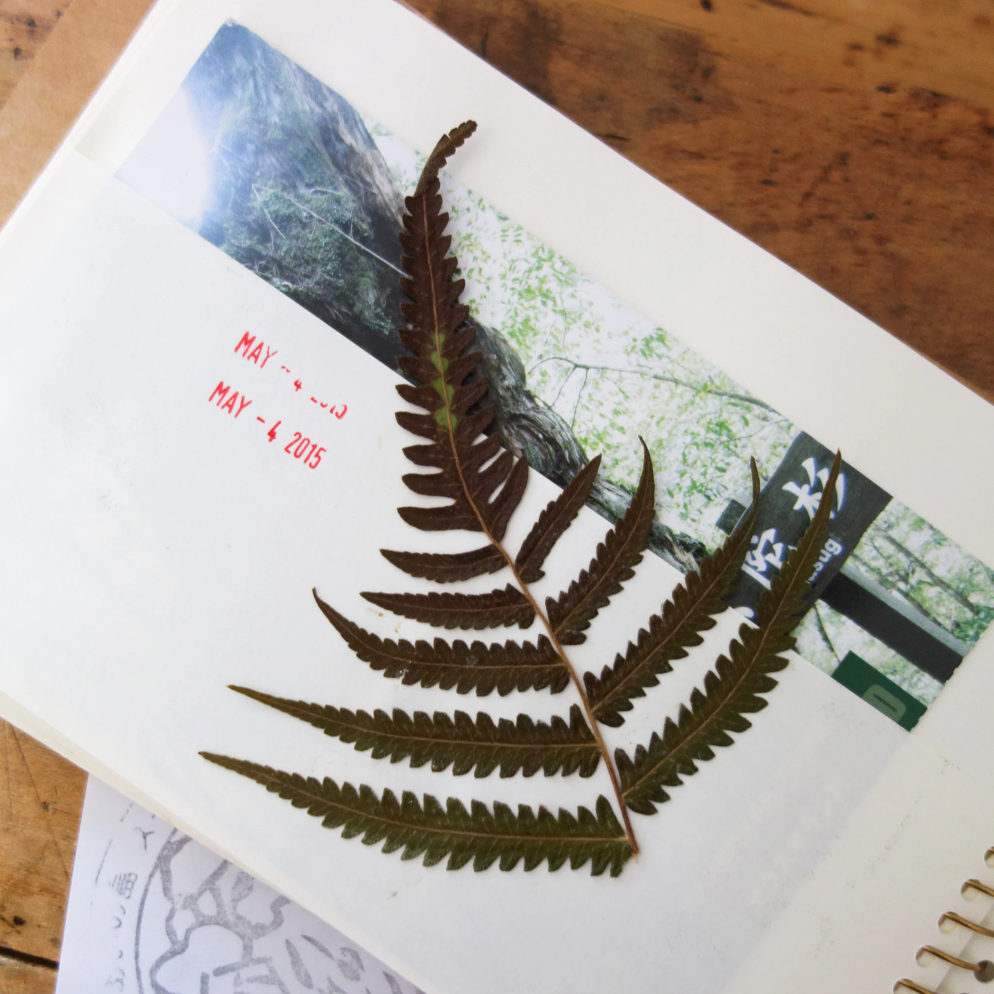 [TRC] Kangaroo Spiral Notebook with Pockets - Image 8