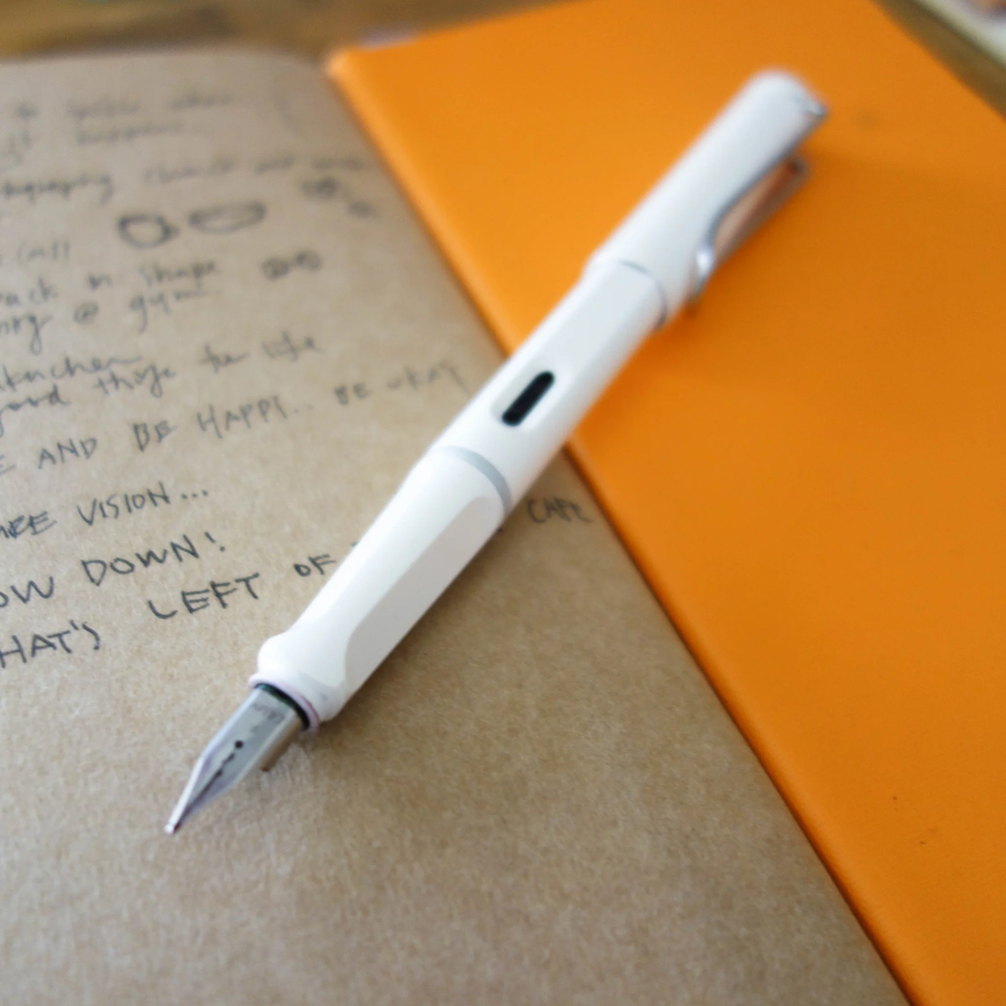 [Lamy Fountain Pen] Safari "White" - Image 11