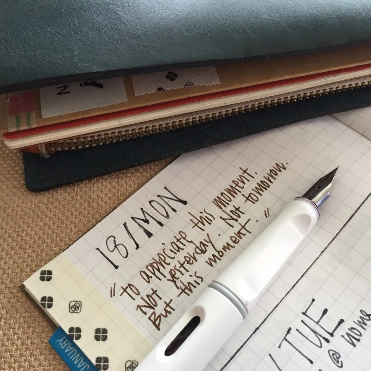 [Lamy Fountain Pen] Safari "White" - Image 3