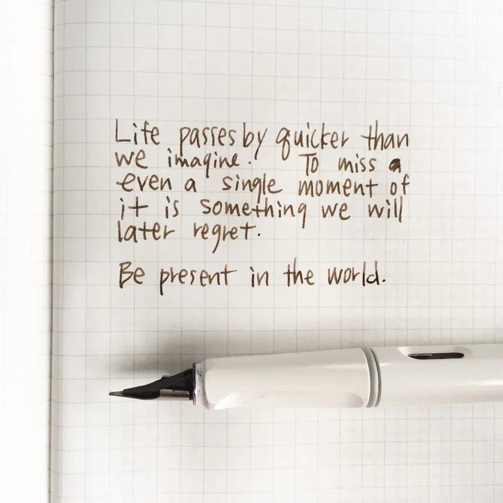 [Lamy Fountain Pen] Safari "White" - Image 8