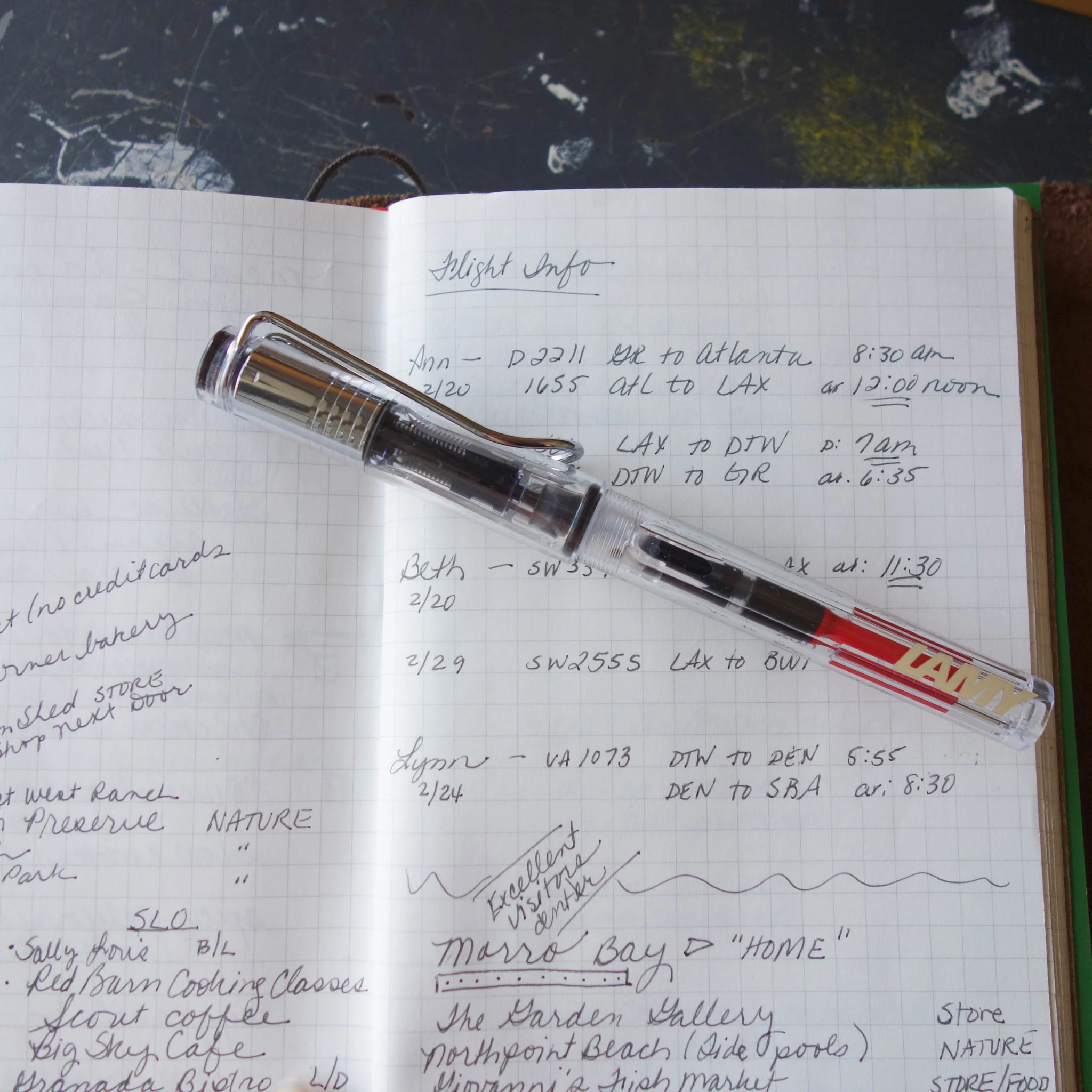[Lamy Fountain Pen] Vista - Image 11