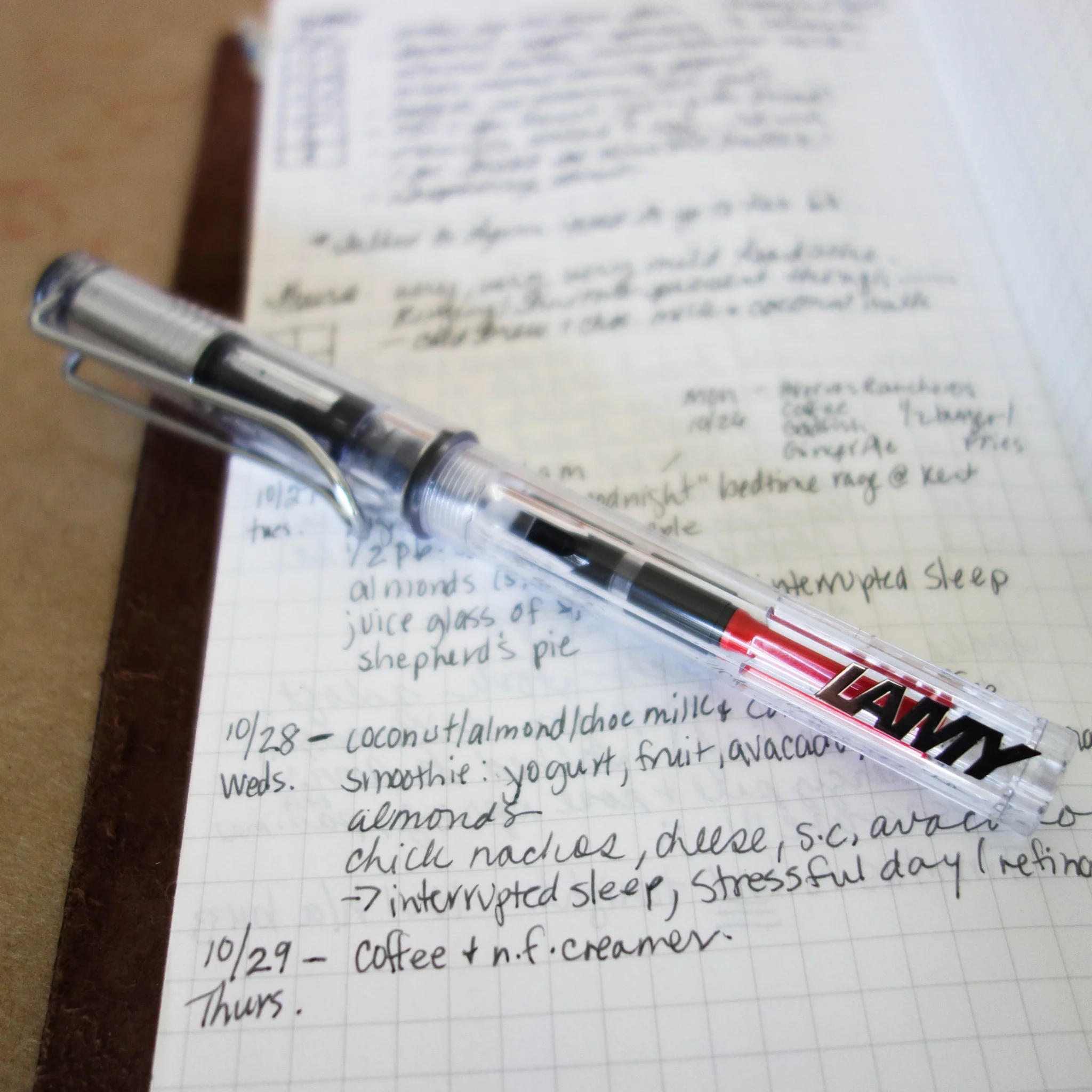 [Lamy Fountain Pen] Vista - Image 4