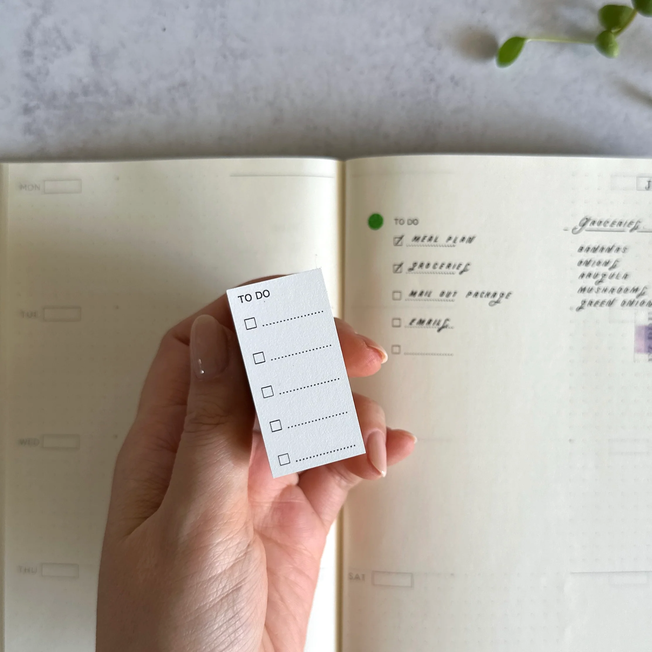 [Mizushima Stamp] To-Do - Image 4