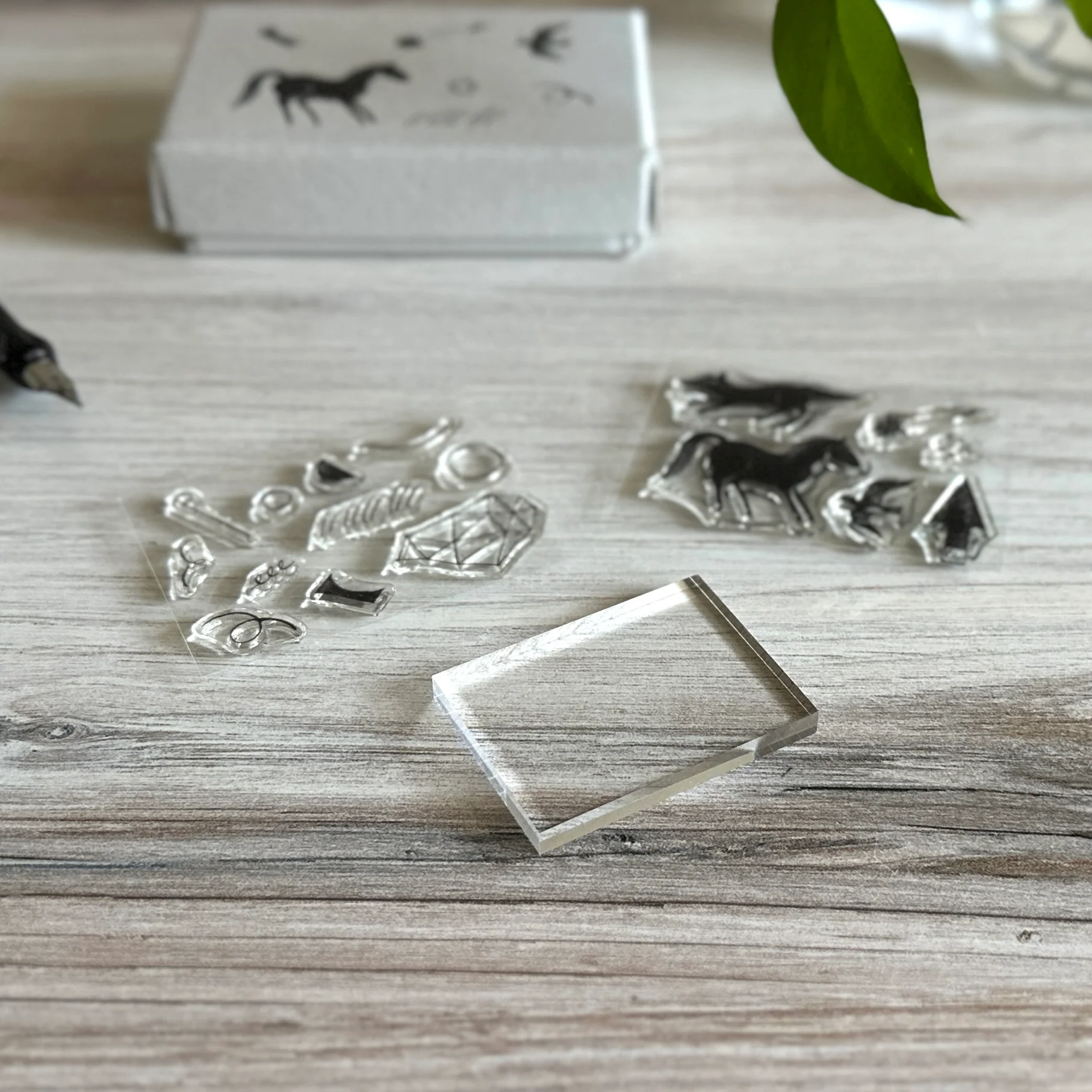 [Nishi Shuku × mizushima Clear Stamps] In the Night - Image 4