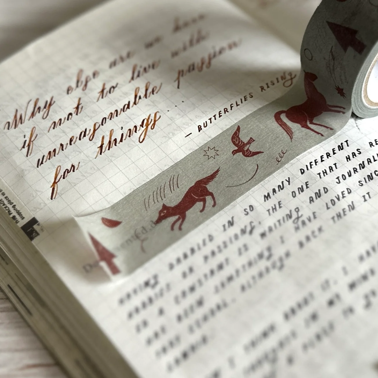 [Nishi Shuku×mizushima Masking Tape] In the Night "Gathering" - Image 4