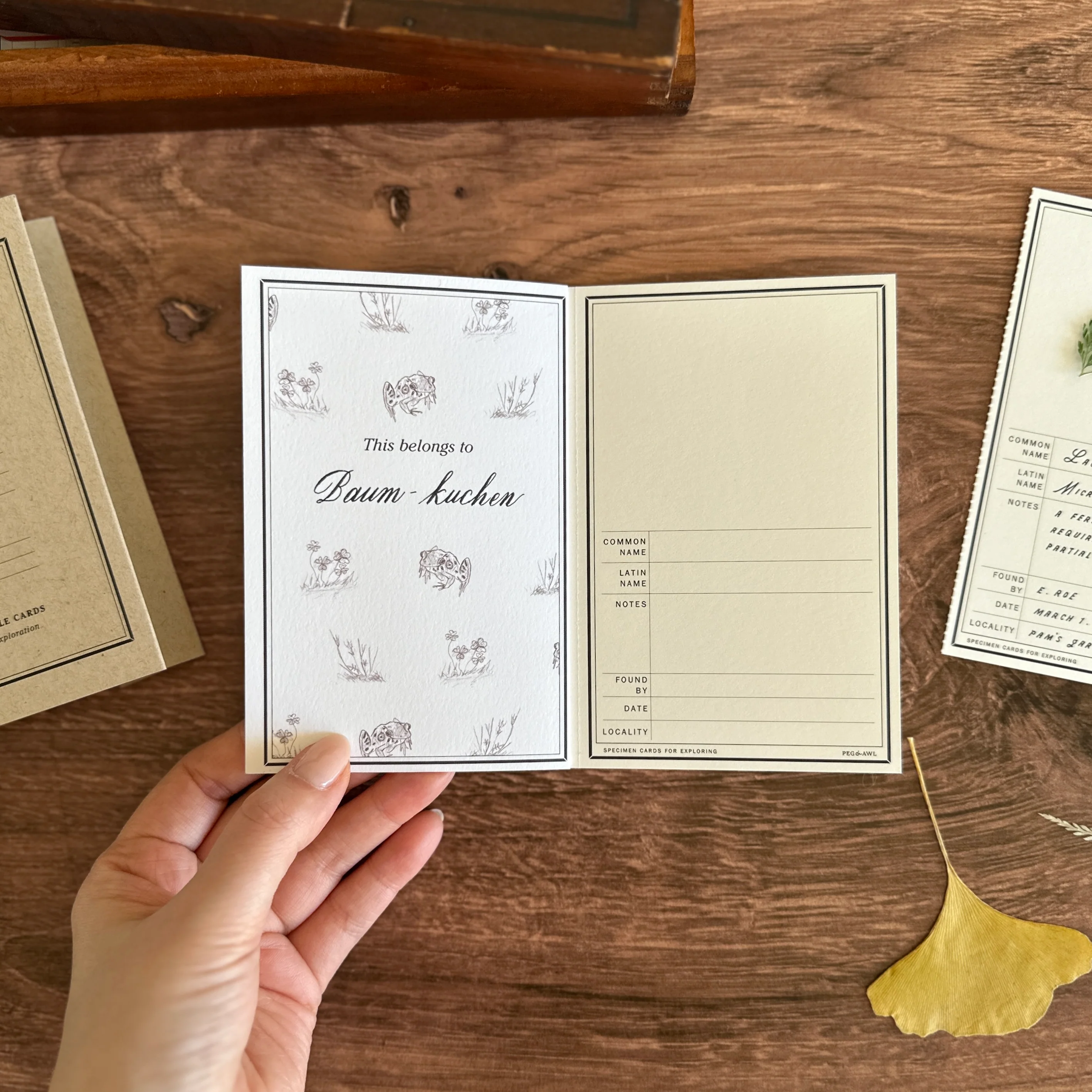 [Peg and Awl] Specimen Card Book - Image 4