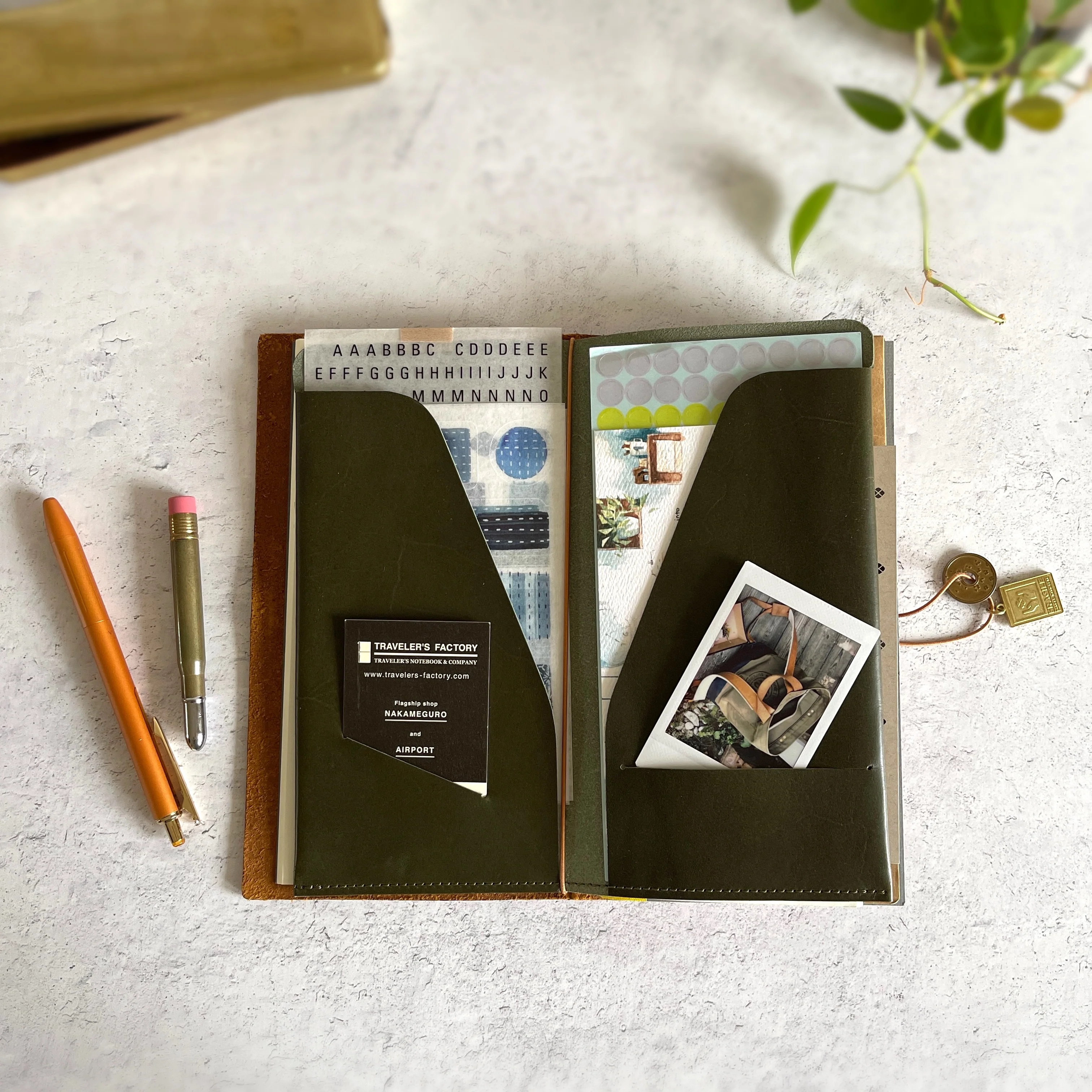 [BKx1.61] Portfolio Folder // Olive (Regular) - Image 4