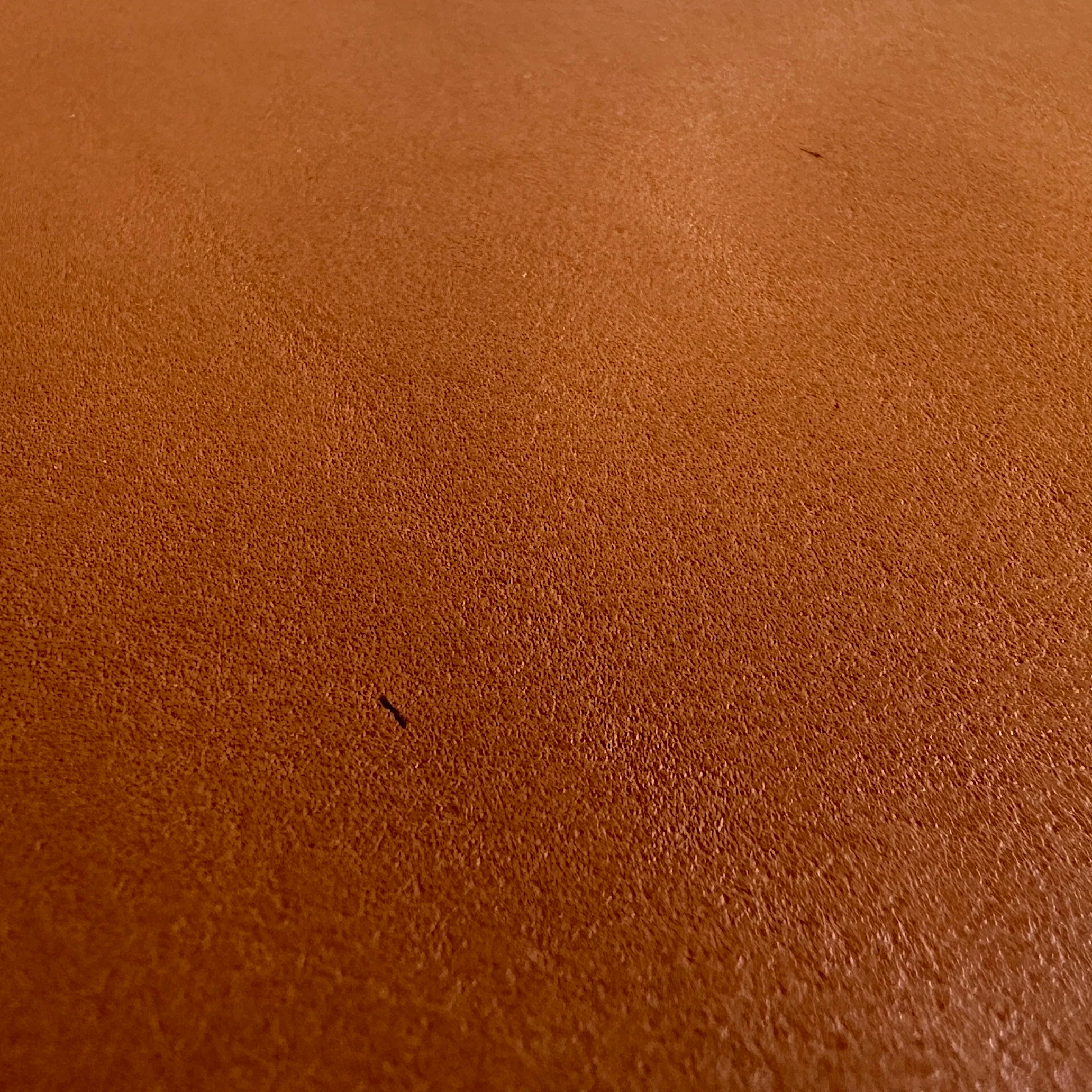 [BKx1.61] Portfolio Folder // Saddle Tan (Regular) - Image 10