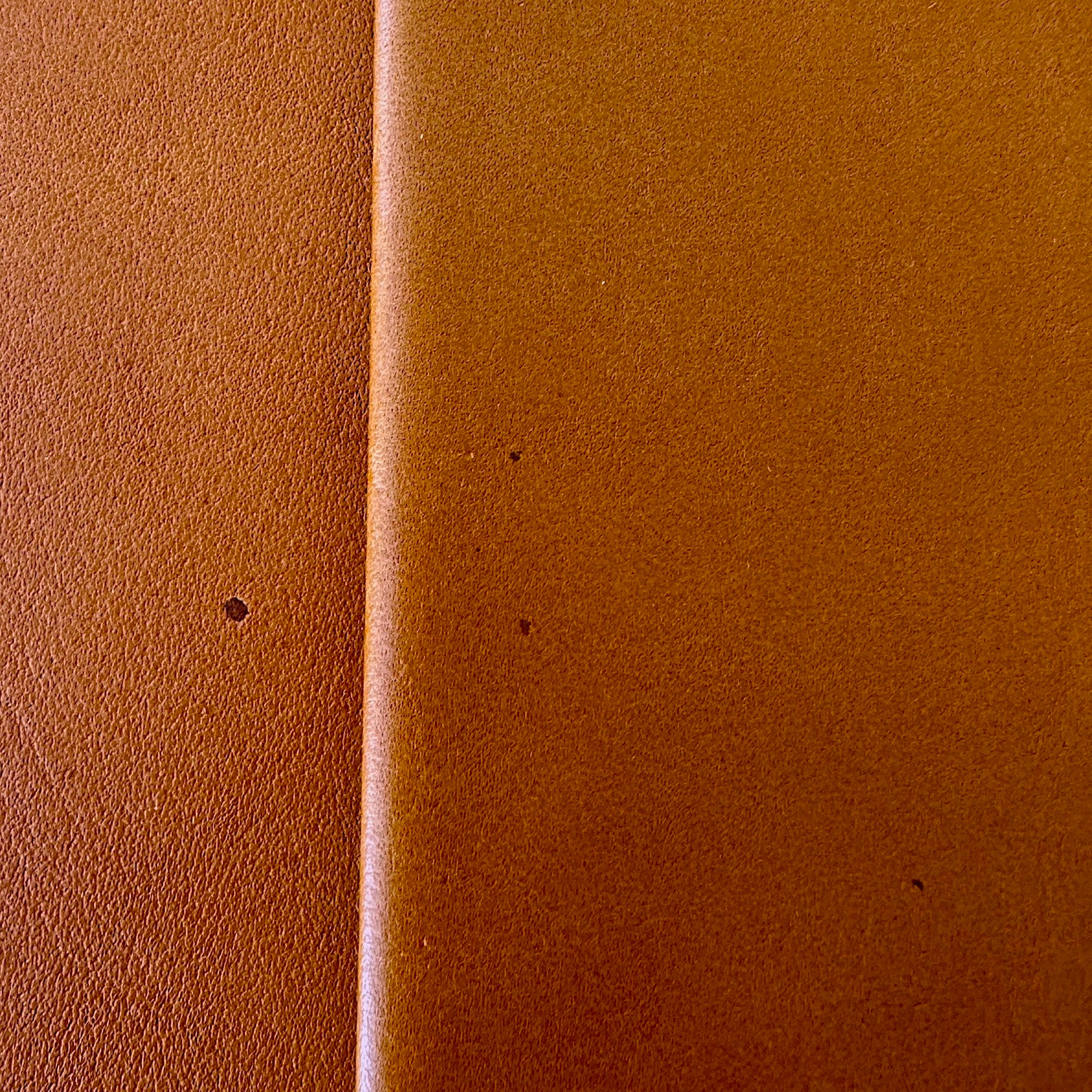 [BKx1.61] Portfolio Folder // Saddle Tan (Regular) - Image 12