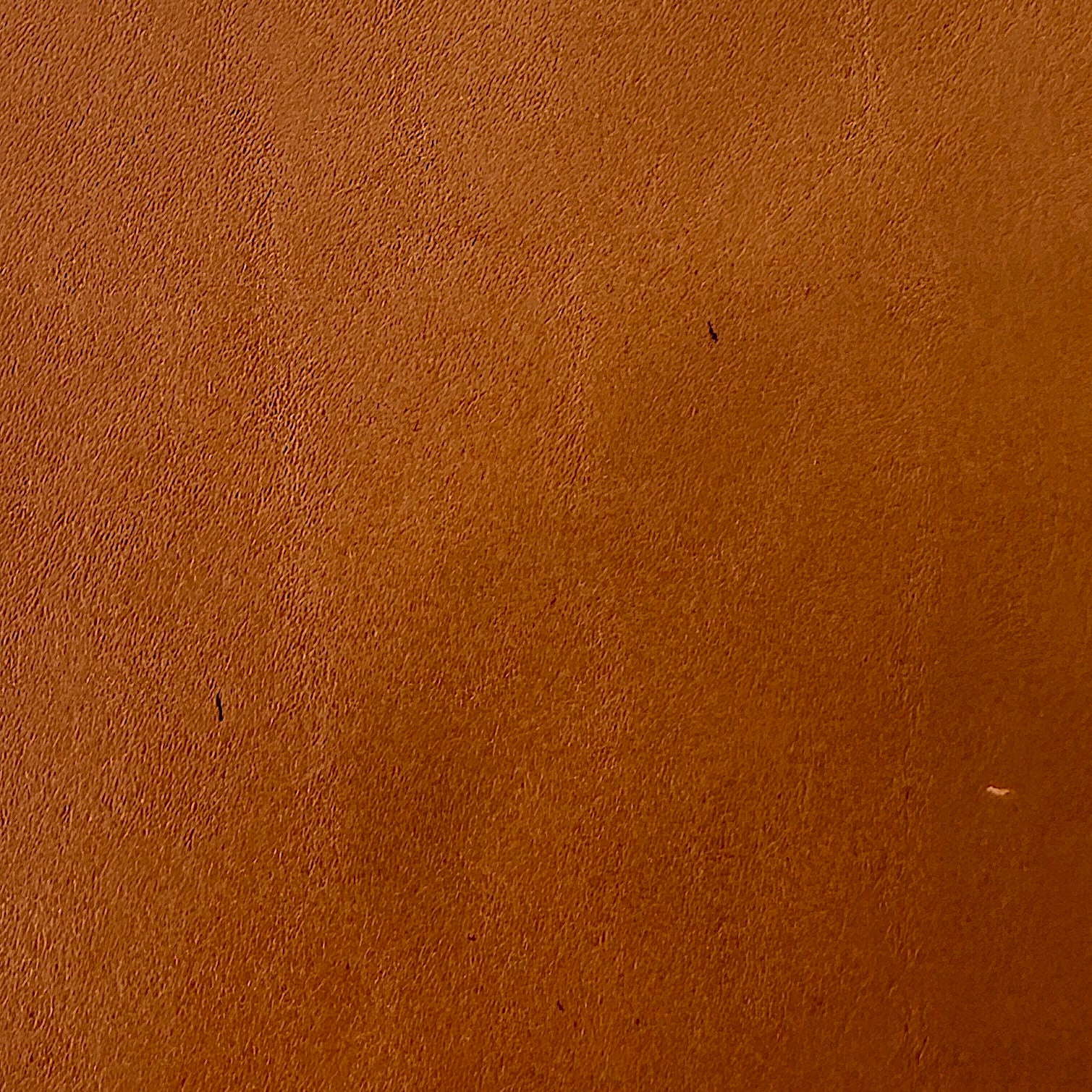 [BKx1.61] Portfolio Folder // Saddle Tan (Regular) - Image 14