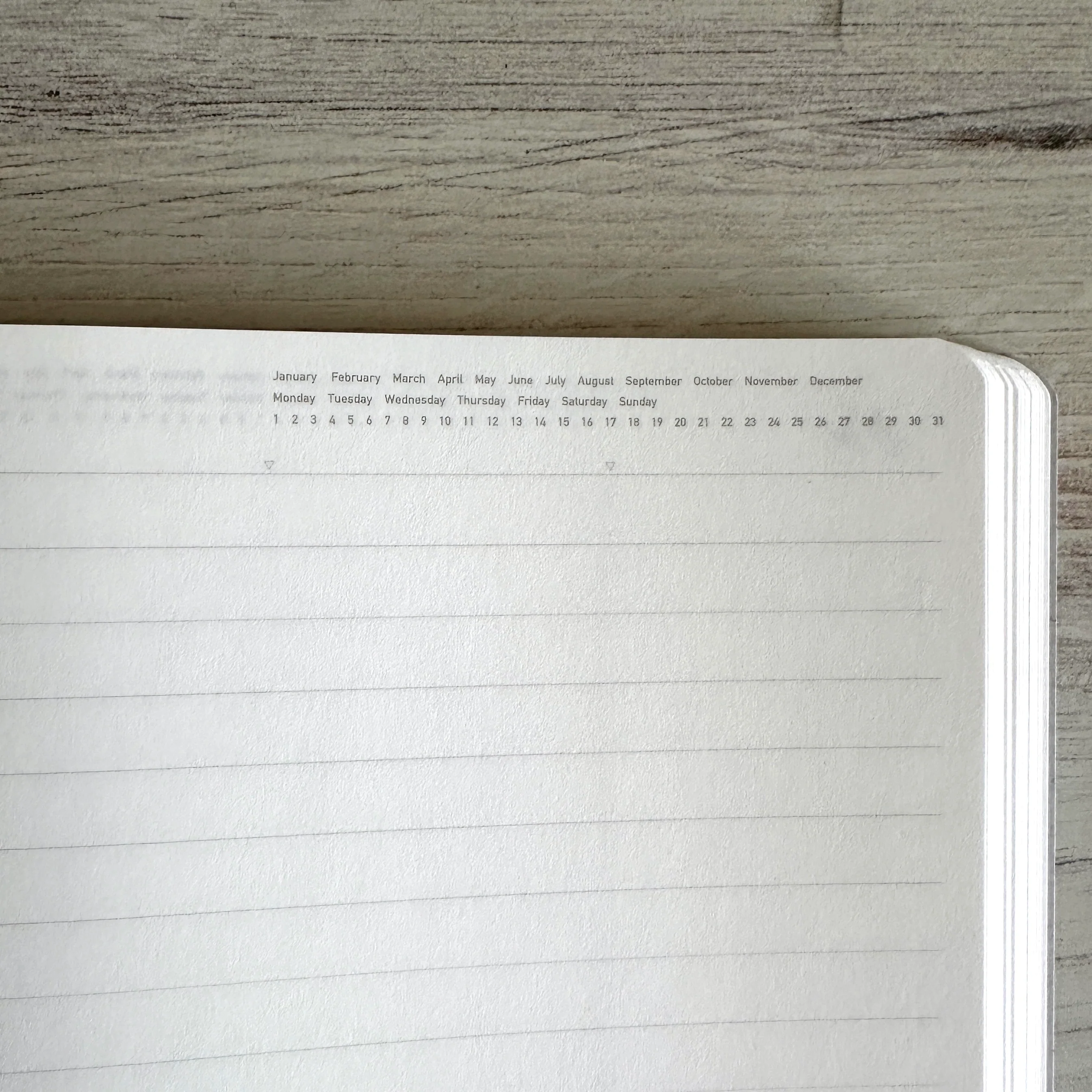 [Stalogy Notebook] 365 Days "LINE" (A5) - Image 3