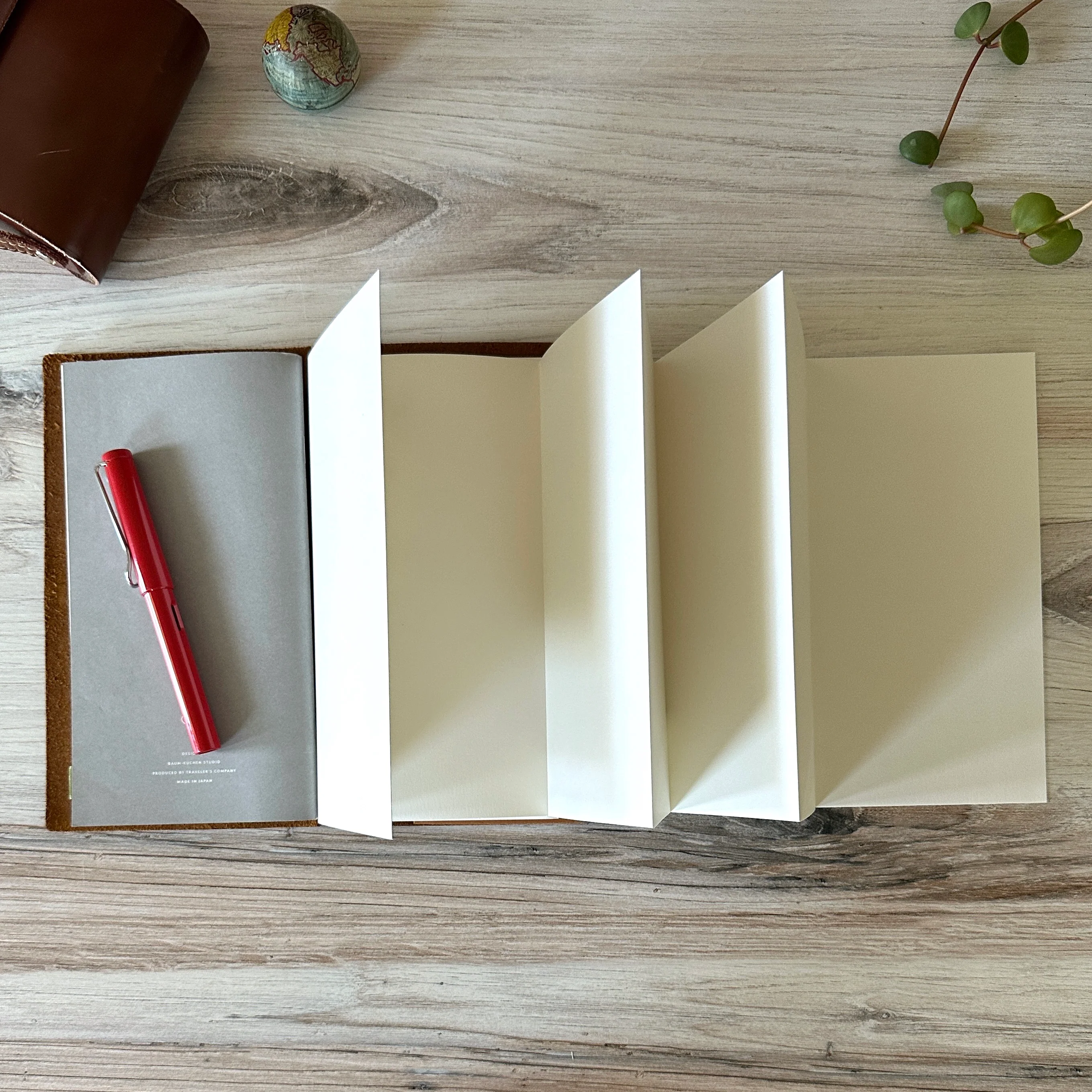 [TRC] 032 // Accordion Fold Paper - Image 6