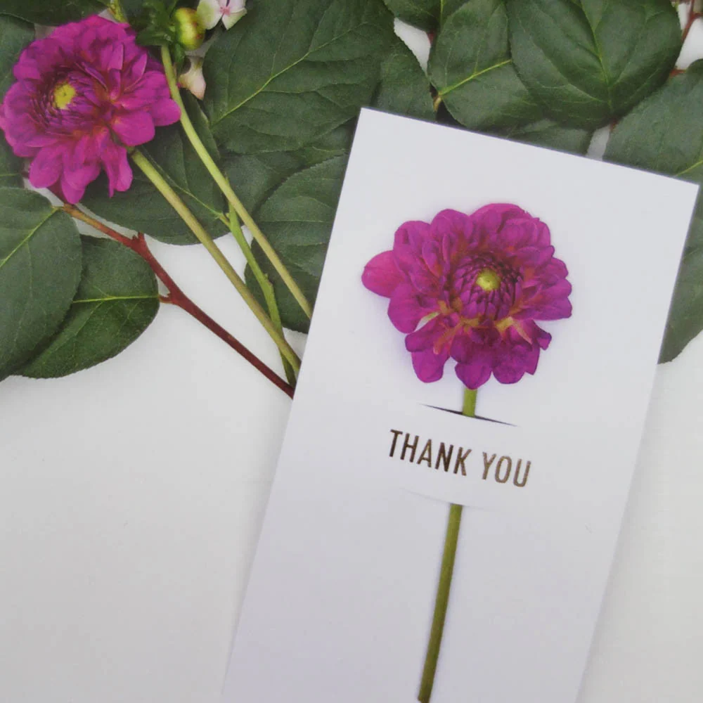 [Tokketok] Flower Notes - Image 13