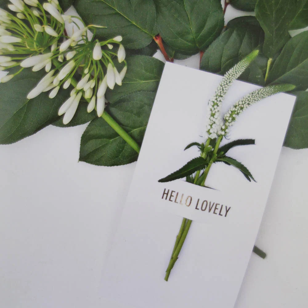 [Tokketok] Flower Notes - Image 15
