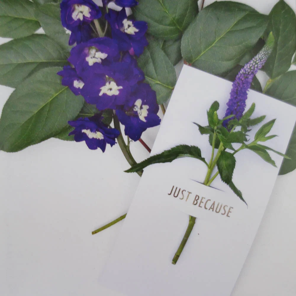 [Tokketok] Flower Notes - Image 18