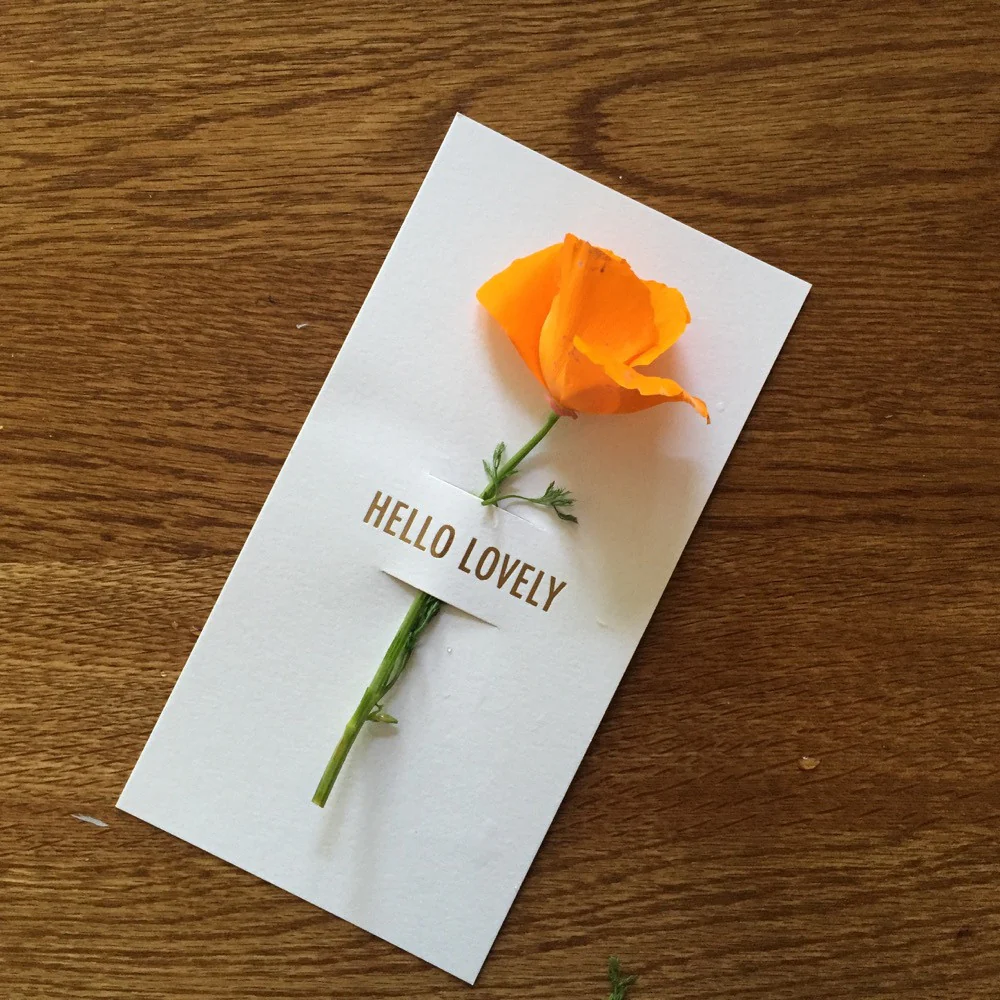 [Tokketok] Flower Notes - Image 5