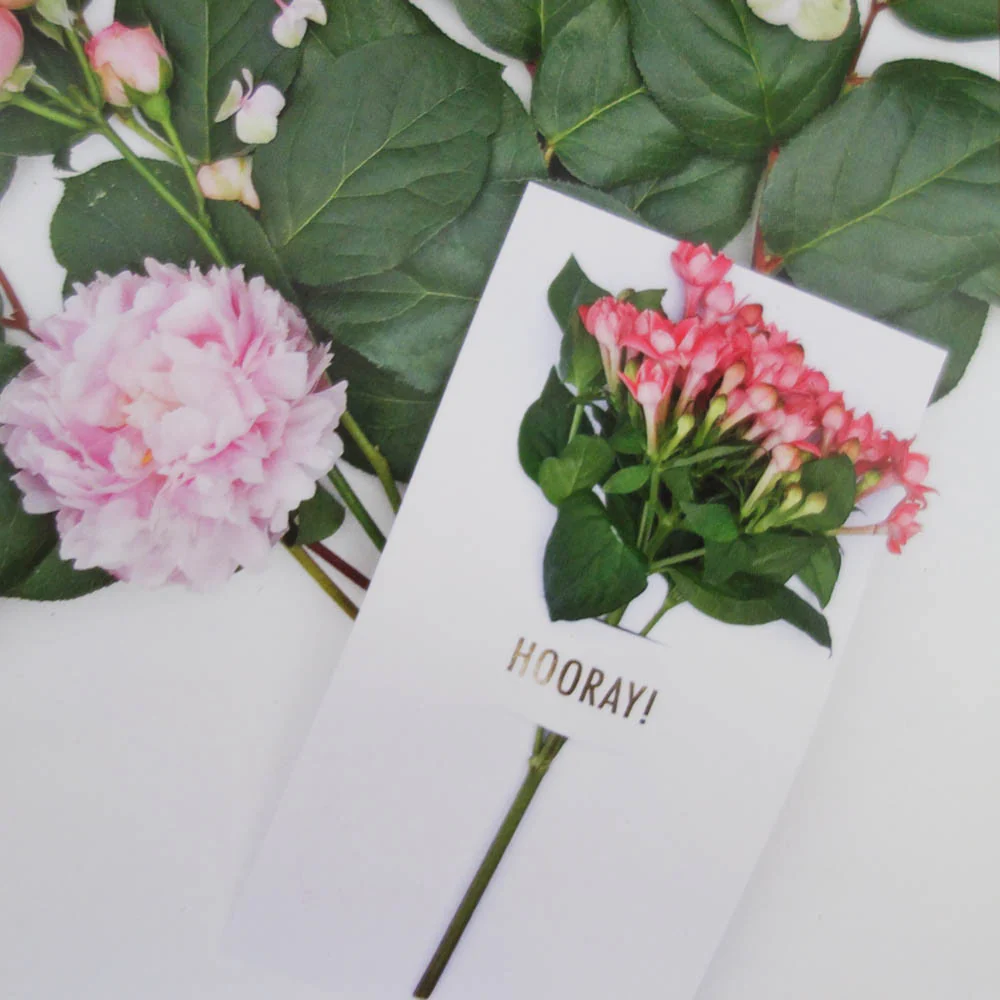 [Tokketok] Flower Notes - Image 8