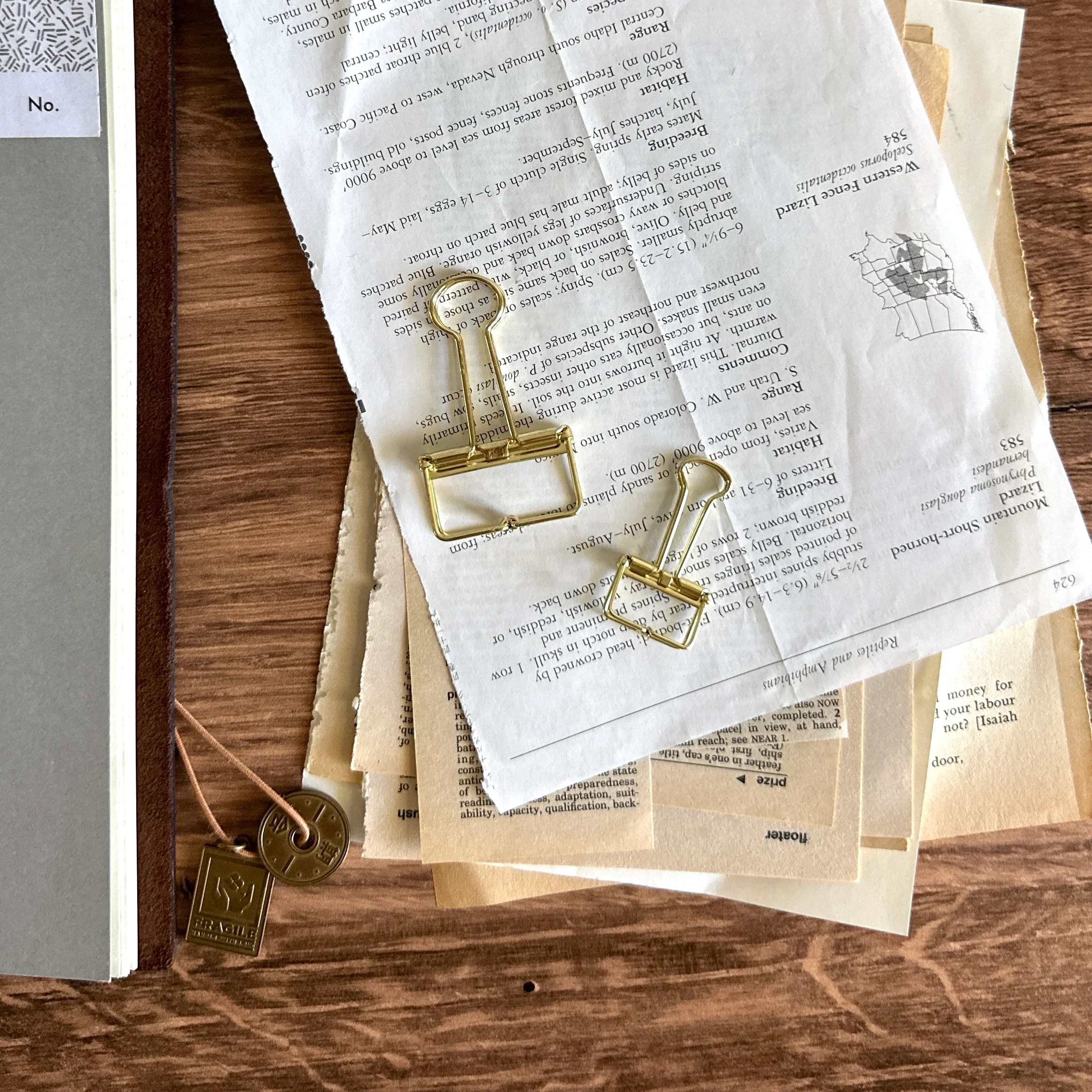 [TOOLS to LIVEBY] Binder Clip - Image 6