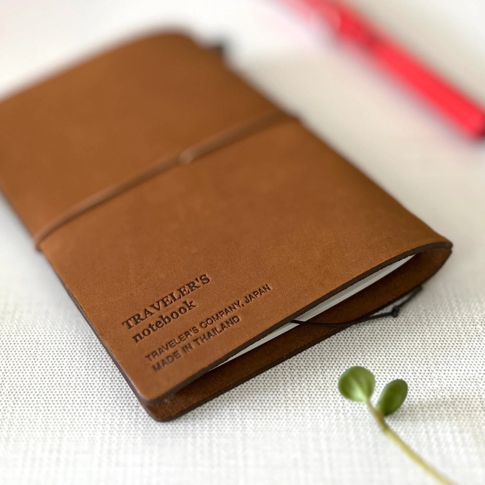 [TRC] Traveler's Notebook // Camel (PASSPORT) - Image 11