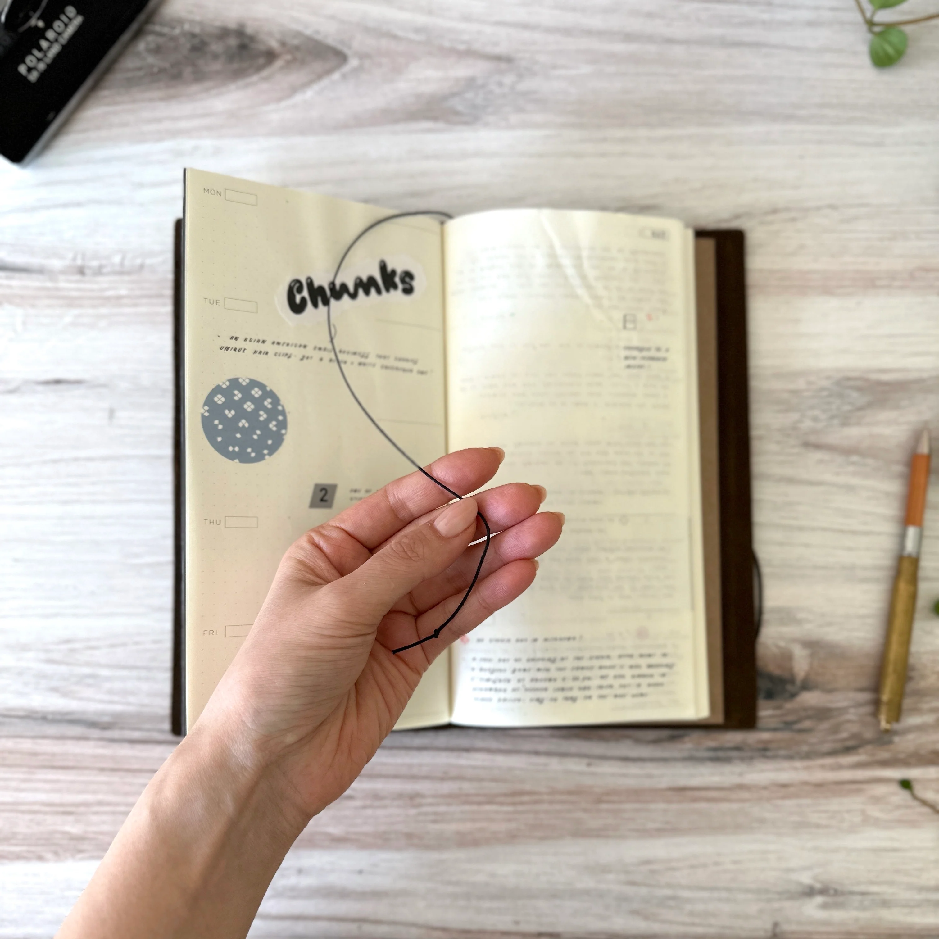 [TRC] Traveler's Notebook // Olive - Image 13