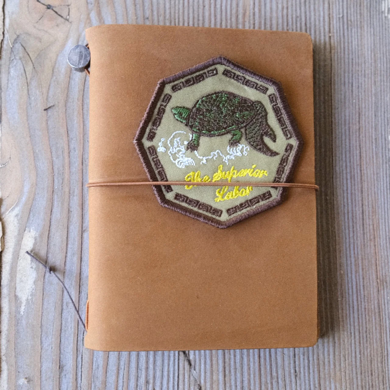 [TSL Patch] Turtle - Image 8