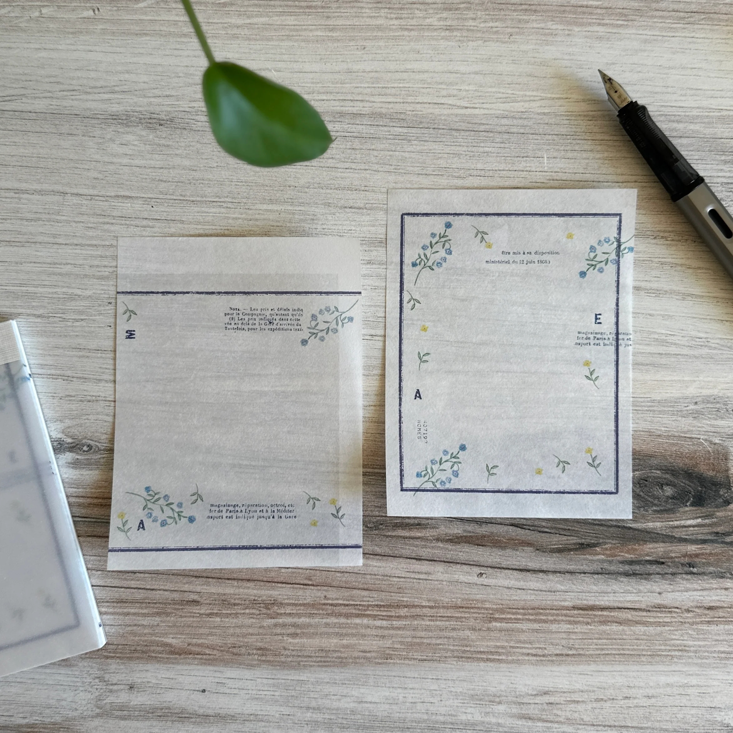 [Yohaku Memo Pad] Botanical Encyclopedia - Image 5